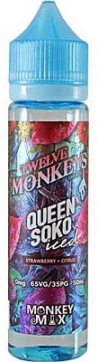 Twelve Monkeys - Ice Age - Queen Soko